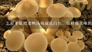 怎样才能把老鸭汤炖成乳白色，很鲜很美味的那种？急急急？