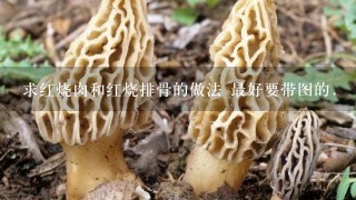 求红烧肉和红烧排骨的做法 最好要带图的.