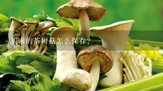 买来的茶树菇怎么保存？