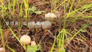 谁给我1张川菜菜单