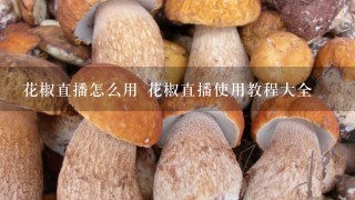 花椒直播怎么用 花椒直播使用教程大全