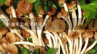 释迦果怎样才算成熟