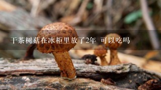 干茶树菇在冰柜里放了2年 可以吃吗