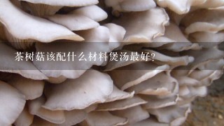 茶树菇该配什么材料煲汤最好？