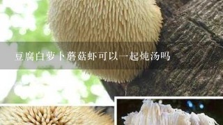 豆腐白萝卜蘑菇虾可以1起炖汤吗