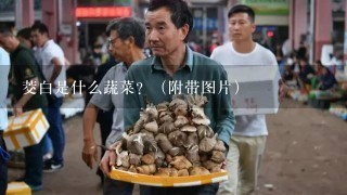 茭白是什么蔬菜？（附带图片）