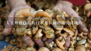 人工种植红菇的技术是从何时研究成功的