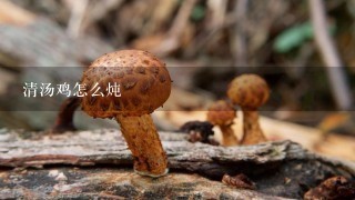 清汤鸡怎么炖