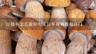 红烧鱼怎么做好吃又简单视频教程窍门