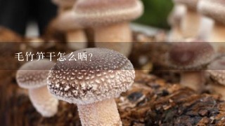 毛竹笋干怎么晒？