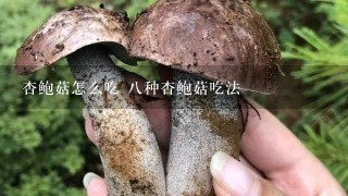 杏鲍菇怎么吃 8种杏鲍菇吃法