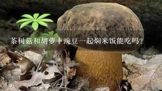 茶树菇和胡萝卜豌豆1起焖米饭能吃吗？