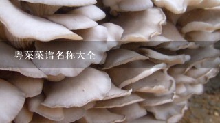 粤菜菜谱名称大全