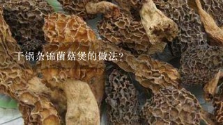 干锅杂锦菌菇煲的做法？