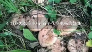 石斛花怎么泡水喝 石斛花泡水喝的好处