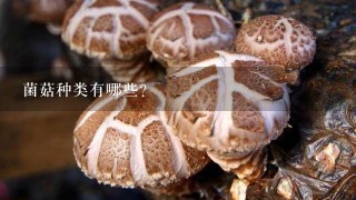 菌菇种类有哪些？