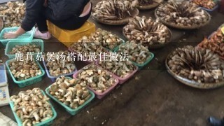 鹿茸菇煲汤搭配最佳做法