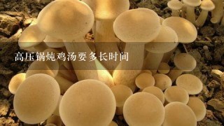 高压锅炖鸡汤要多长时间