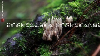 新鲜茶树菇怎么做好吃 新鲜茶树菇好吃的做法介绍