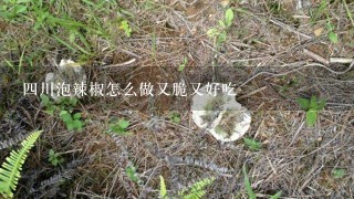 4川泡辣椒怎么做又脆又好吃