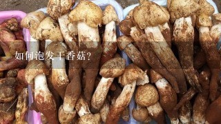 如何泡发干香菇？