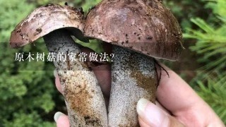 原木树菇的家常做法？