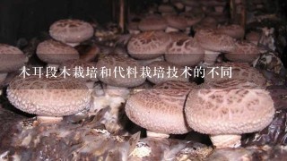 木耳段木栽培和代料栽培技术的不同