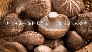 老母鸡海带茶树菇胡萝卜玉米可以1起炖吗？