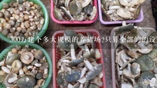 300万建个多大规模的养猪场?只算全部的的设施，不算猪群和饲料。需要多少亩用地？