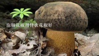 泡脚花椒用什么花椒好