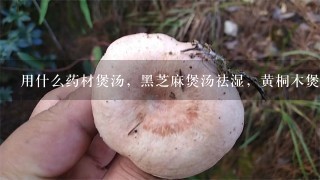 用什么药材煲汤，黑芝麻煲汤祛湿，黄桐木煲汤可以