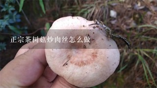 正宗茶树菇炒肉丝怎么做