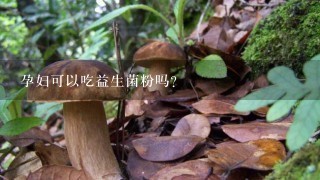 孕妇可以吃益生菌粉吗？