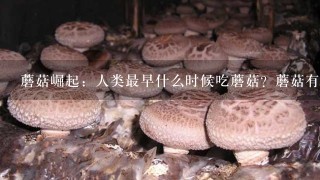 蘑菇崛起：人类最早什么时候吃蘑菇？蘑菇有哪些种类吗