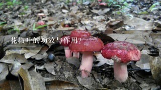 花椒叶的功效与作用？