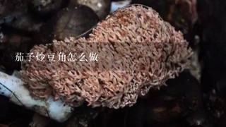 茄子炒豆角怎么做