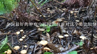 全国最好的肿瘤中医院？有谁对这个是比较懂的吗？