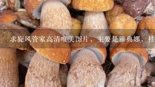 求旋风管家高清唯美图片，主要是雅典娜，桂雏菊和璐珈的，像这种