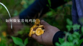 如何做家常炖鸡块