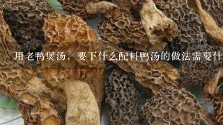 用老鸭煲汤，要下什么配料鸭汤的做法需要什么配料