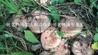 炖老鸭汤怎么做高压锅炖老鸭汤要多久