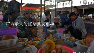 广西最大的红菇批发市场