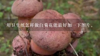 用卫生纸怎样做白菊花能最好加1下图片。