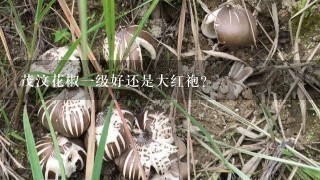 茂汶花椒1级好还是大红袍？