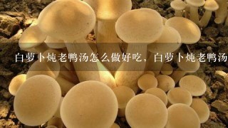 白萝卜炖老鸭汤怎么做好吃，白萝卜炖老鸭汤