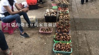 红烧肉烧土豆的家常做法