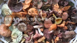 种植食用菌的大型基地有哪些？