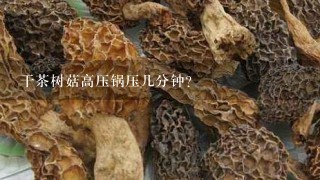 干茶树菇高压锅压几分钟？