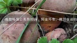 我想喝蒲公英熬的汤，阳虚外寒、脾胃虚弱的人体不适应...