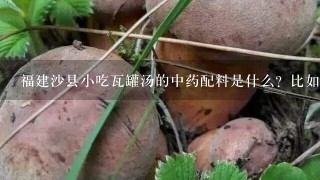 福建沙县小吃瓦罐汤的中药配料是什么？比如茶树菇排